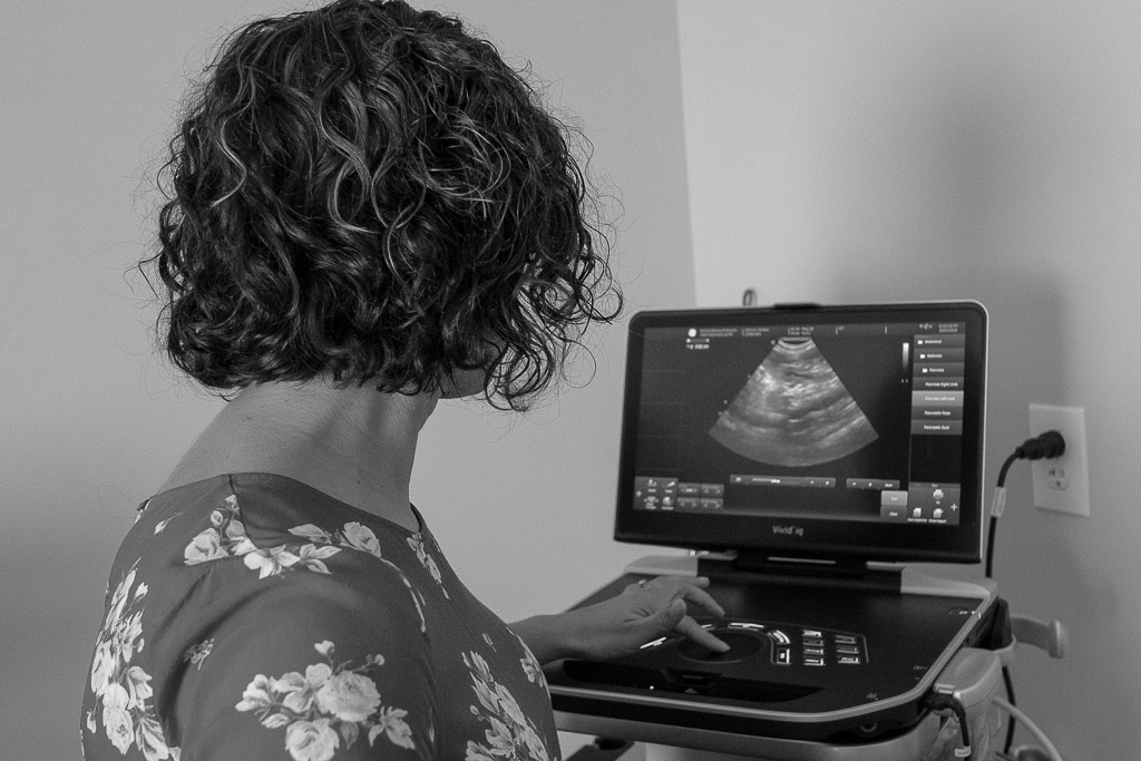 Home Animal Ultrasound Services