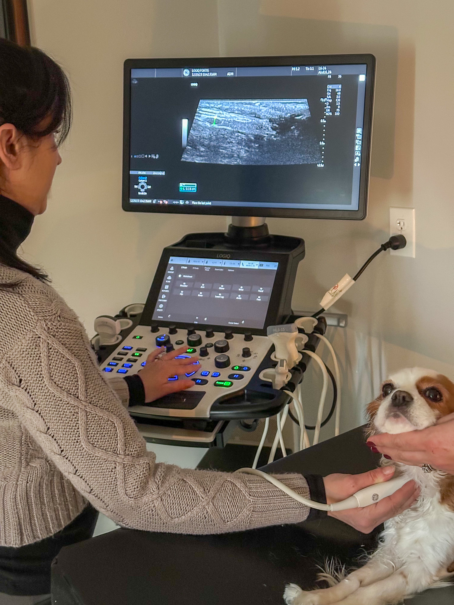 Mobile Ultrasound Services - Animal Ultrasound Services